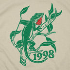 Anole Lizard Illustration