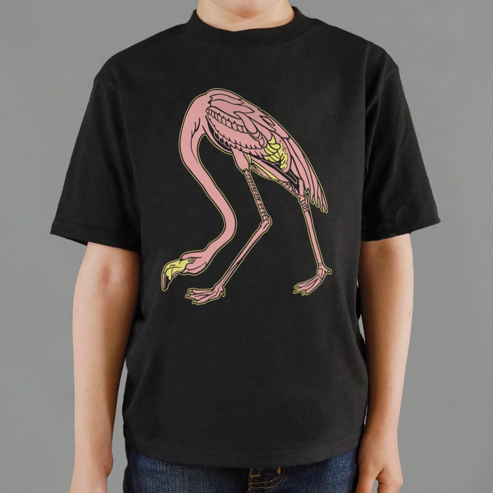 Audubon Flamingo Pink Bird Illustration