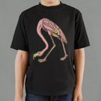 Audubon Flamingo Pink Bird Illustration