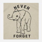 Baby Elephant Never Forget