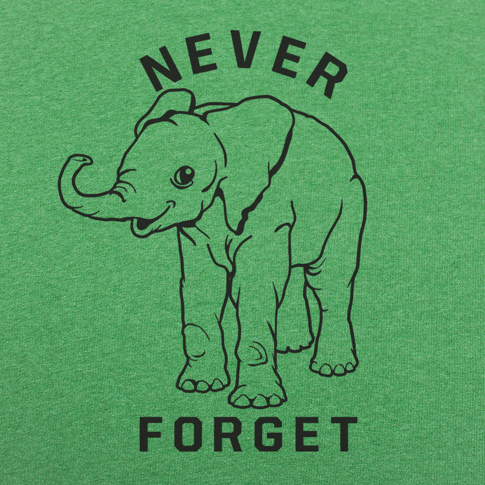 Baby Elephant Never Forget