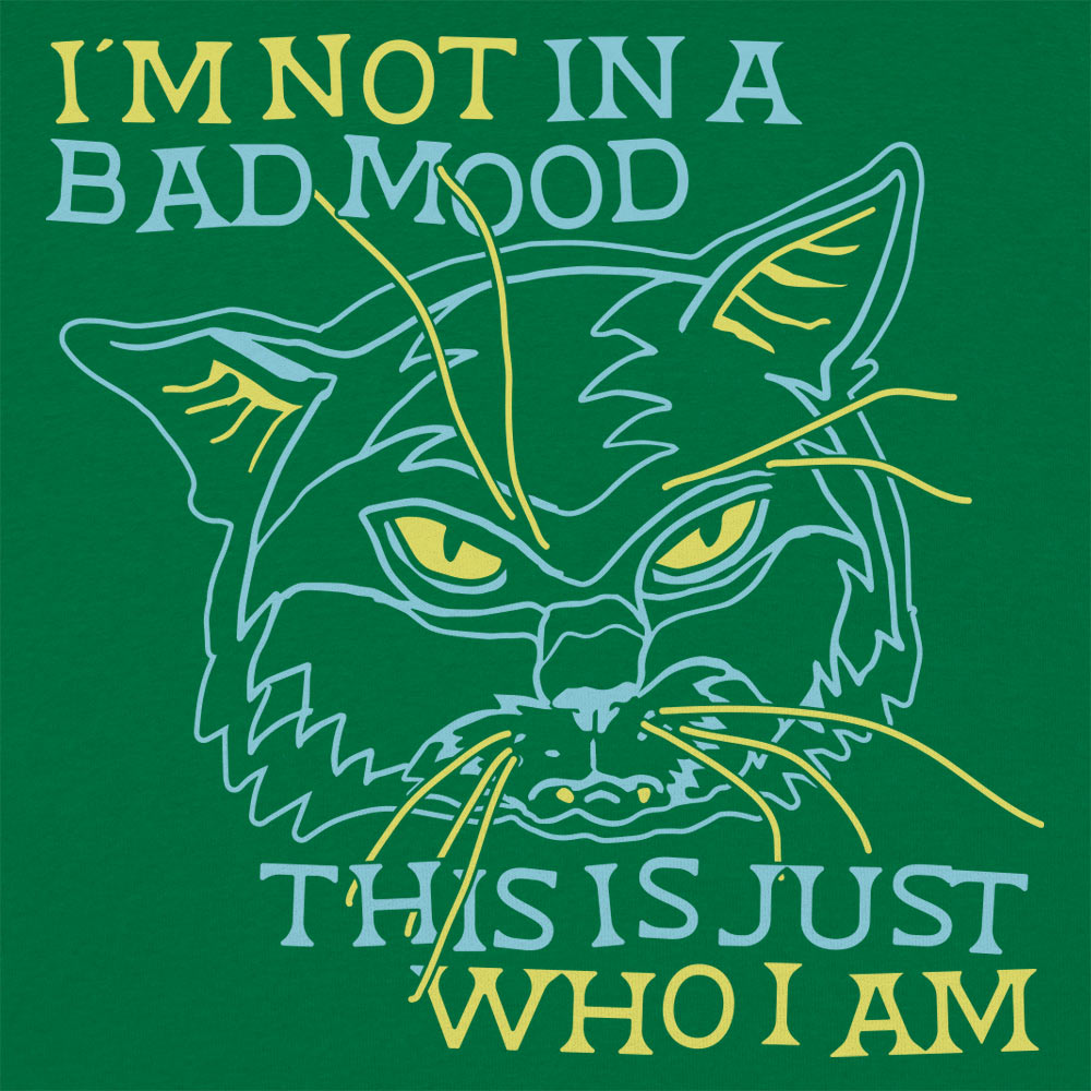 Bad Mood Cat Face. This Is Just Who I Am
