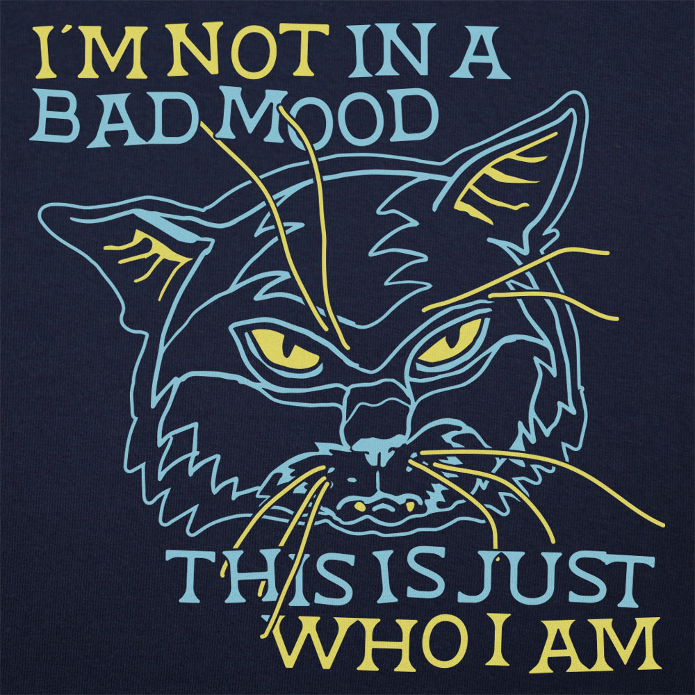 Bad Mood Cat Face. This Is Just Who I Am