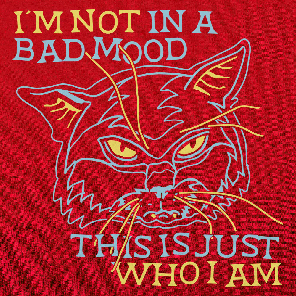 Bad Mood Cat Face. This Is Just Who I Am