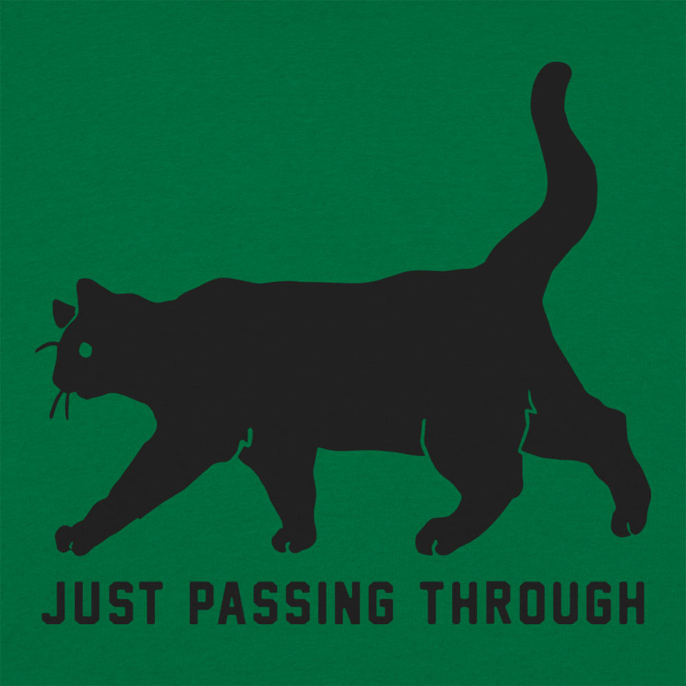 Black Cat Crossing Just Passing Through Superstition Design