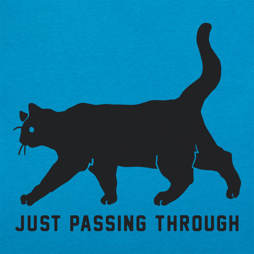 Black Cat Crossing Just Passing Through Superstition Design