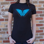 Blue Morpho Butterfly