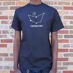 Capricorn Constellation Zodiac Star Sign