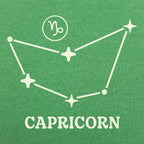 Capricorn Constellation Zodiac Star Sign