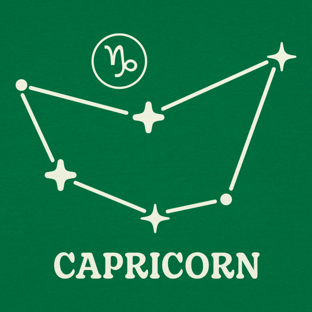 Capricorn Constellation Zodiac Star Sign