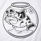 Cat Fish Hybrid Swimming in a Fishbowl