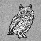 Cat Owl Hybrid Creature with Cat Head and Owl Body