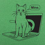 Cat Conquers Laptop