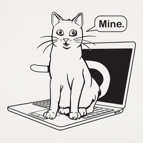 Cat Conquers Laptop