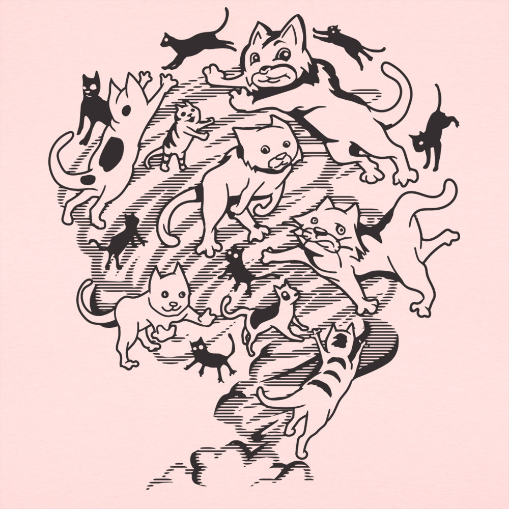 Catnado - Tornado Made of Cats