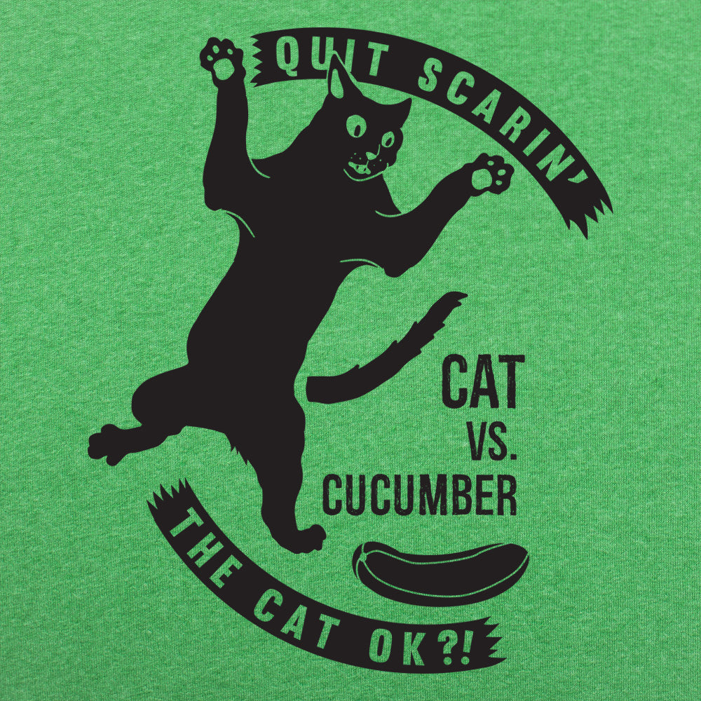 Cat Versus Cucumber. Startled Cat Meme