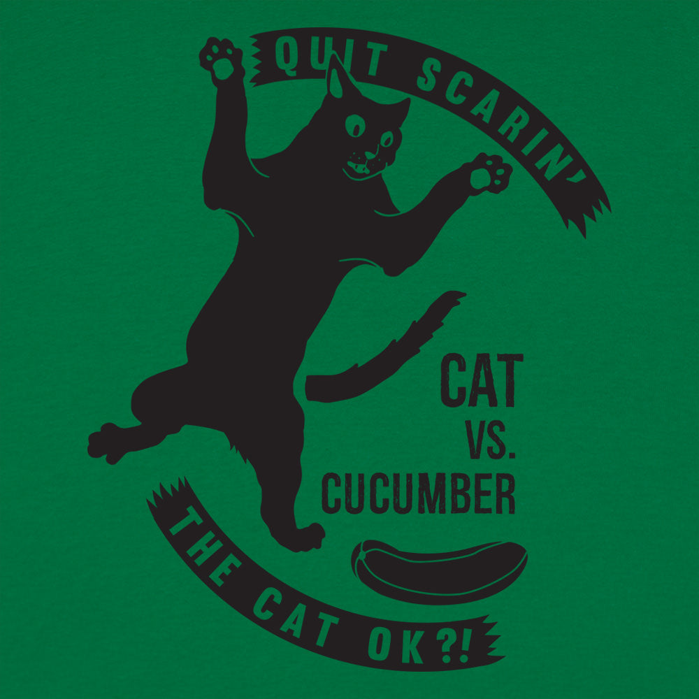 Cat Versus Cucumber. Startled Cat Meme