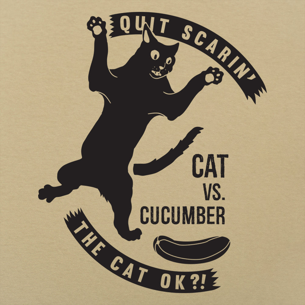 Cat Versus Cucumber. Startled Cat Meme