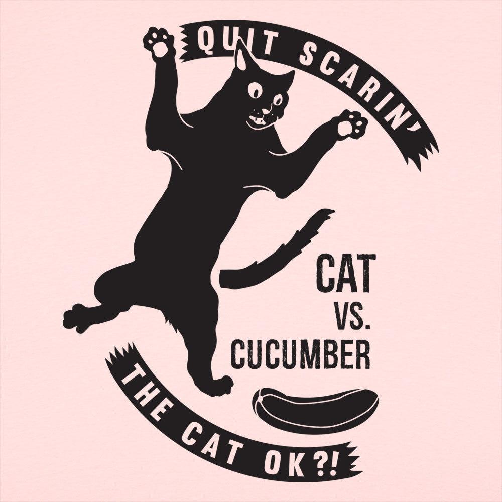 Cat Versus Cucumber. Startled Cat Meme