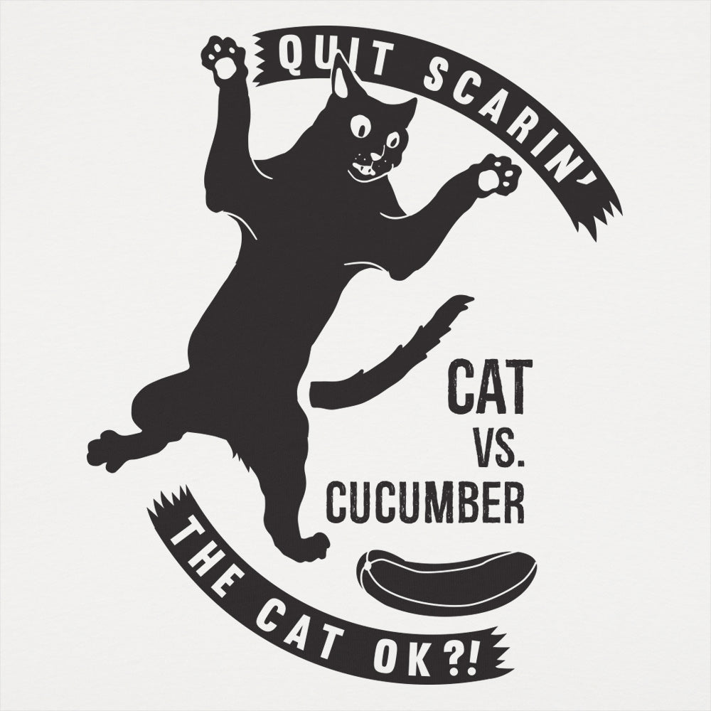 Cat Versus Cucumber. Startled Cat Meme