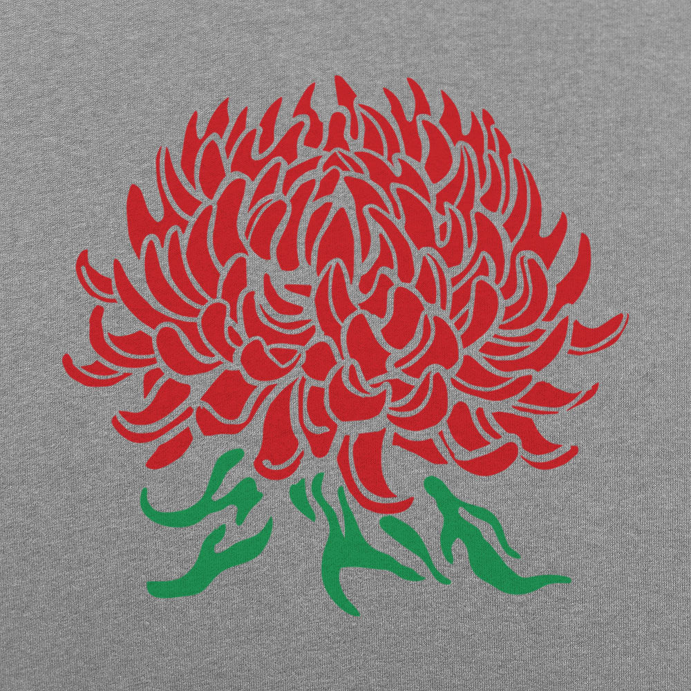 Chrysanthemum Botanical Illustration