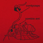 Cordyceps Zombie Ant Fungus Diagram