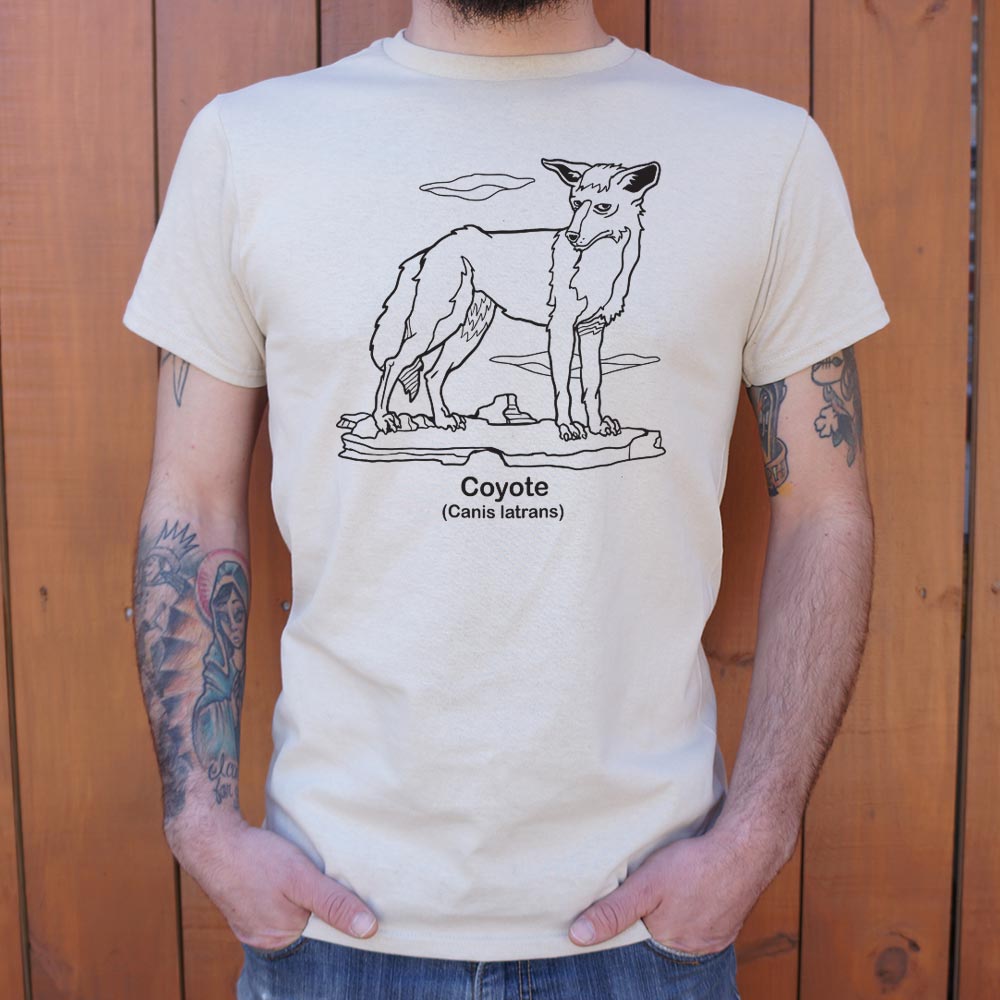 Coyote Canis Latrans Illustration