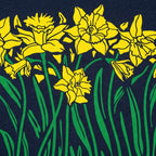 Daffodils Blooming Graphic
