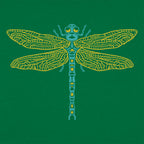 Dragonfly Illustrated Nature Design