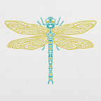 Dragonfly Illustrated Nature Design