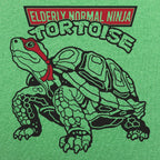 Elderly Normal Ninja Tortoise