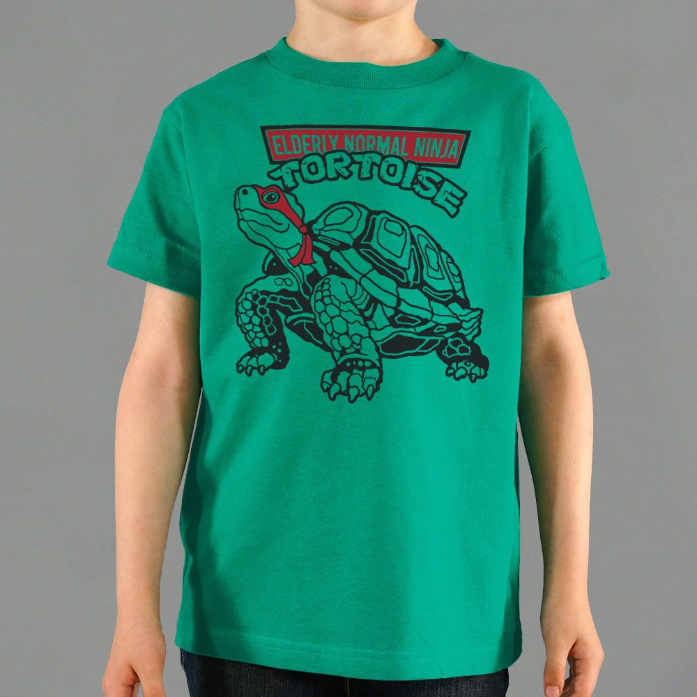Elderly Normal Ninja Tortoise