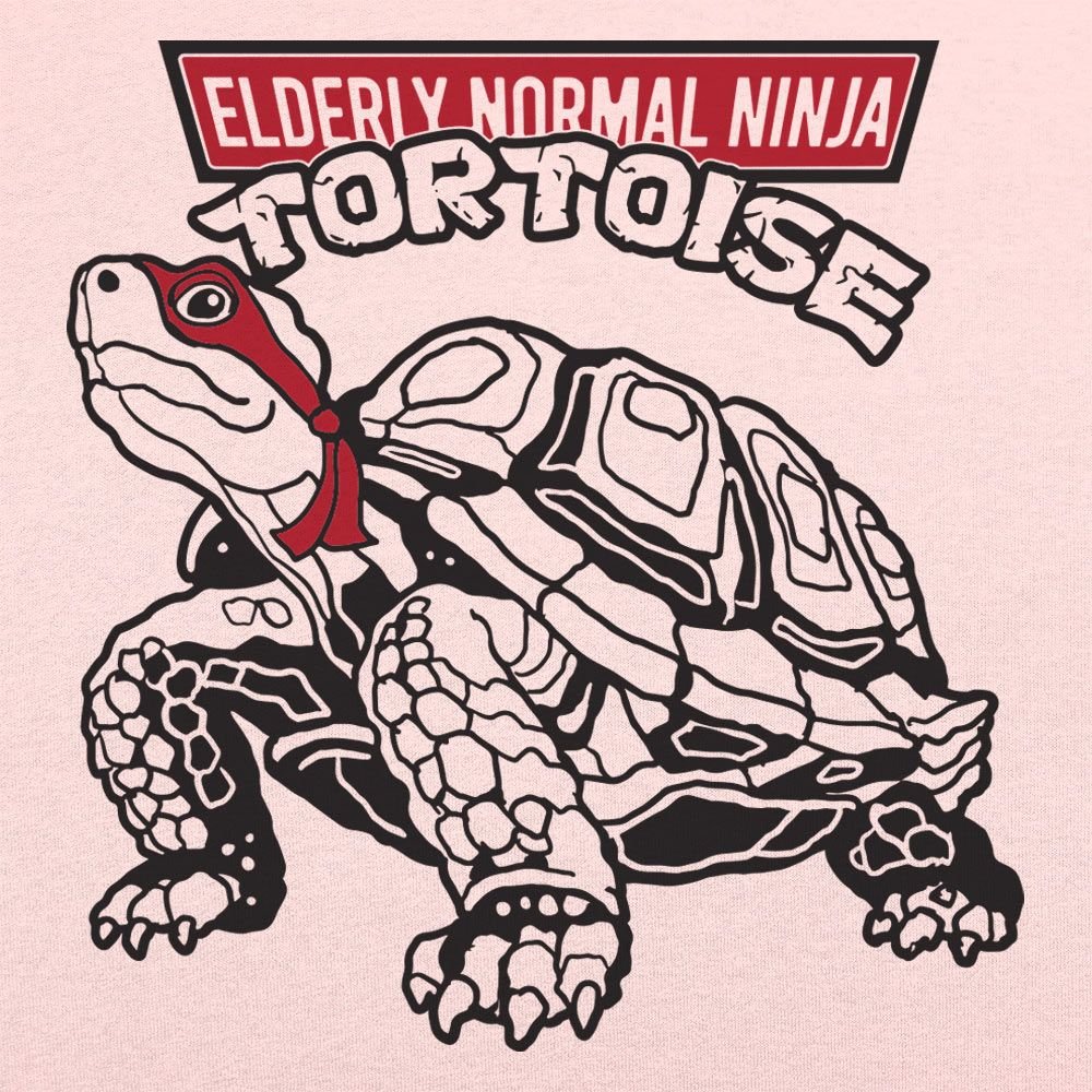 Elderly Normal Ninja Tortoise