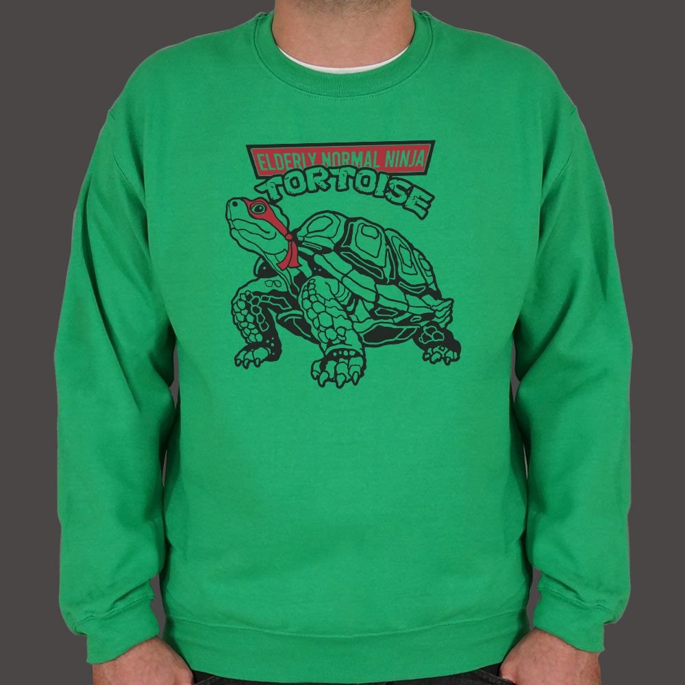 Elderly Normal Ninja Tortoise