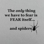 Fear And Spiders Famous Fear Itself Quote with Creepy Spider