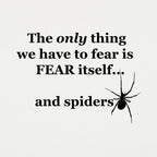 Fear And Spiders Famous Fear Itself Quote with Creepy Spider