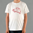 Flying Pig with Wings Pun