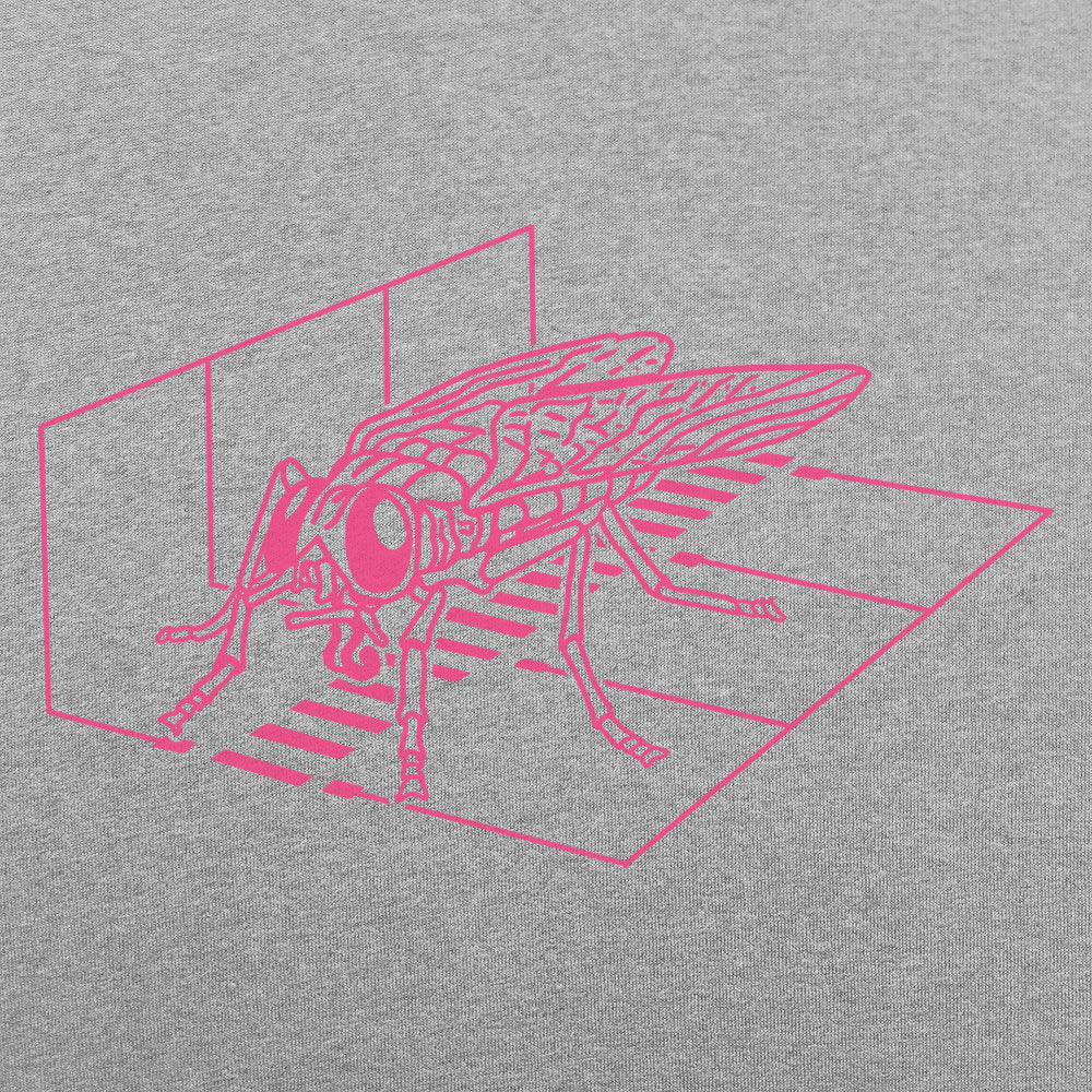 Fly Scan Giant Insect in Teleportation Pod