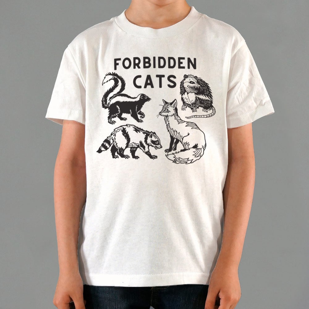 Forbidden Cats Skunk Fox Raccoon and Opossum