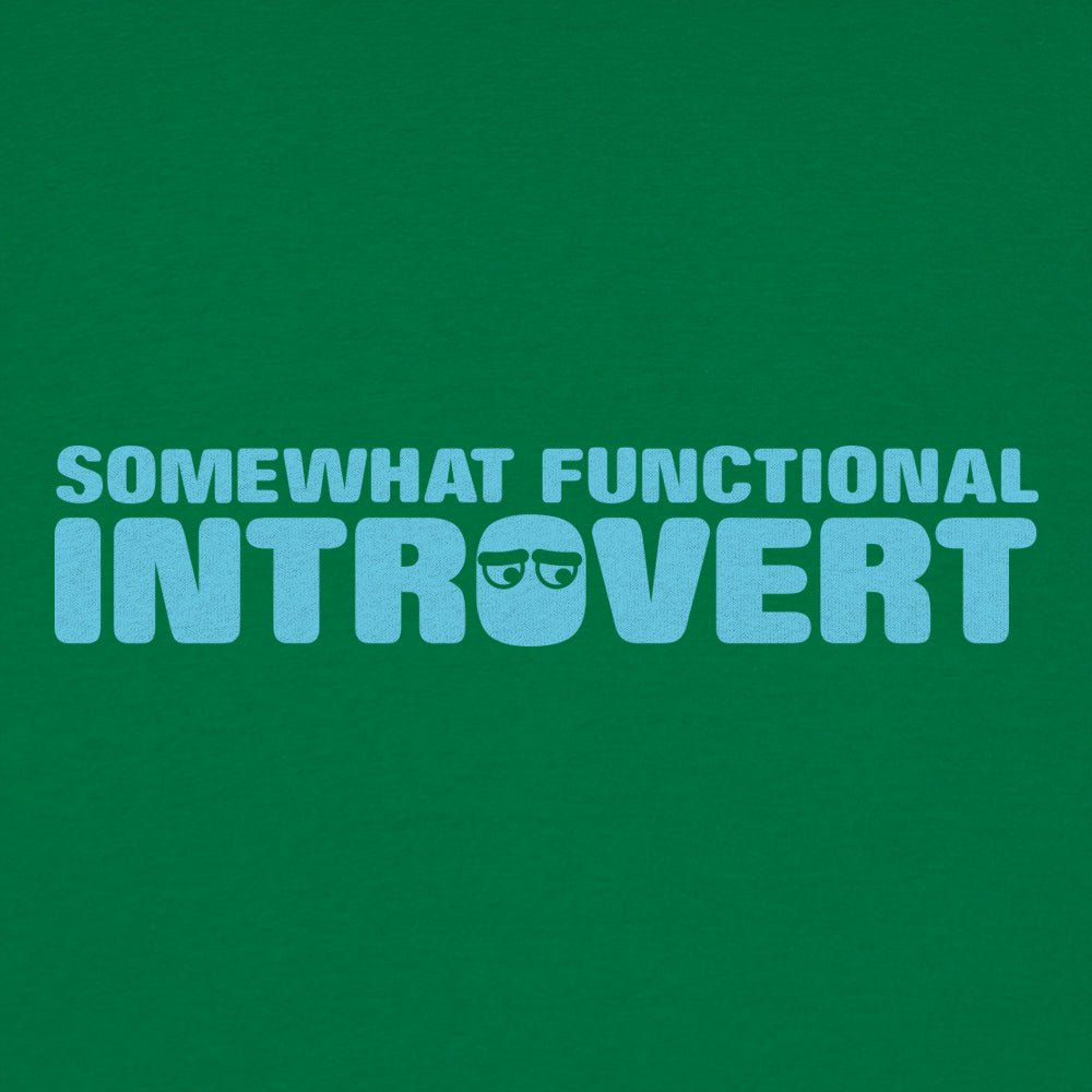 Somewhat Functional Introvert