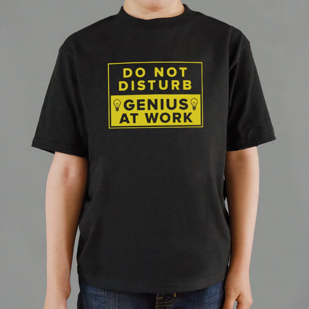 Genius At Work Do Not Disturb Warning Sign