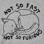 Not So Fast Not So Furious Sleeping Cat