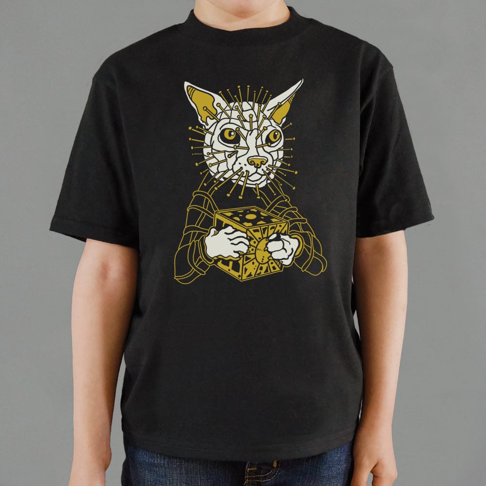 Hellscratcher Spiky Cat Cenobite with Puzzle Box