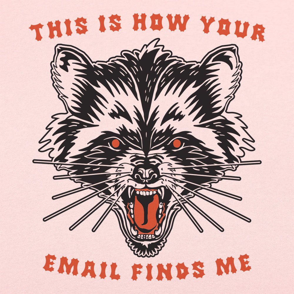This Is How Your Email Finds Me Snarling Raccoon