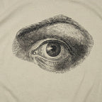 Human Eye Vintage Anatomical Illustration