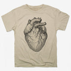 Human Heart Anatomical Illustration