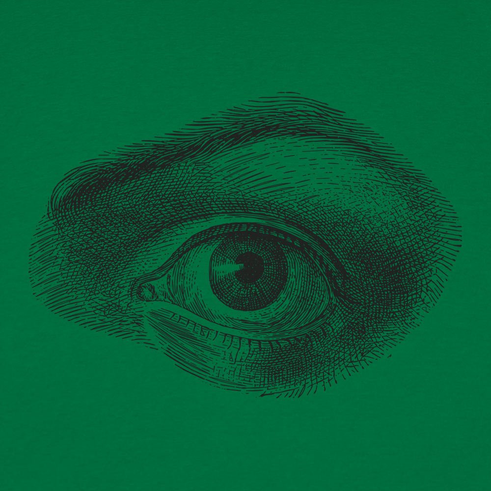 Human Eye Vintage Anatomical Illustration