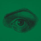 Human Eye Vintage Anatomical Illustration