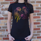 Jellyfish Trio Full Color Jellyfish Illustration