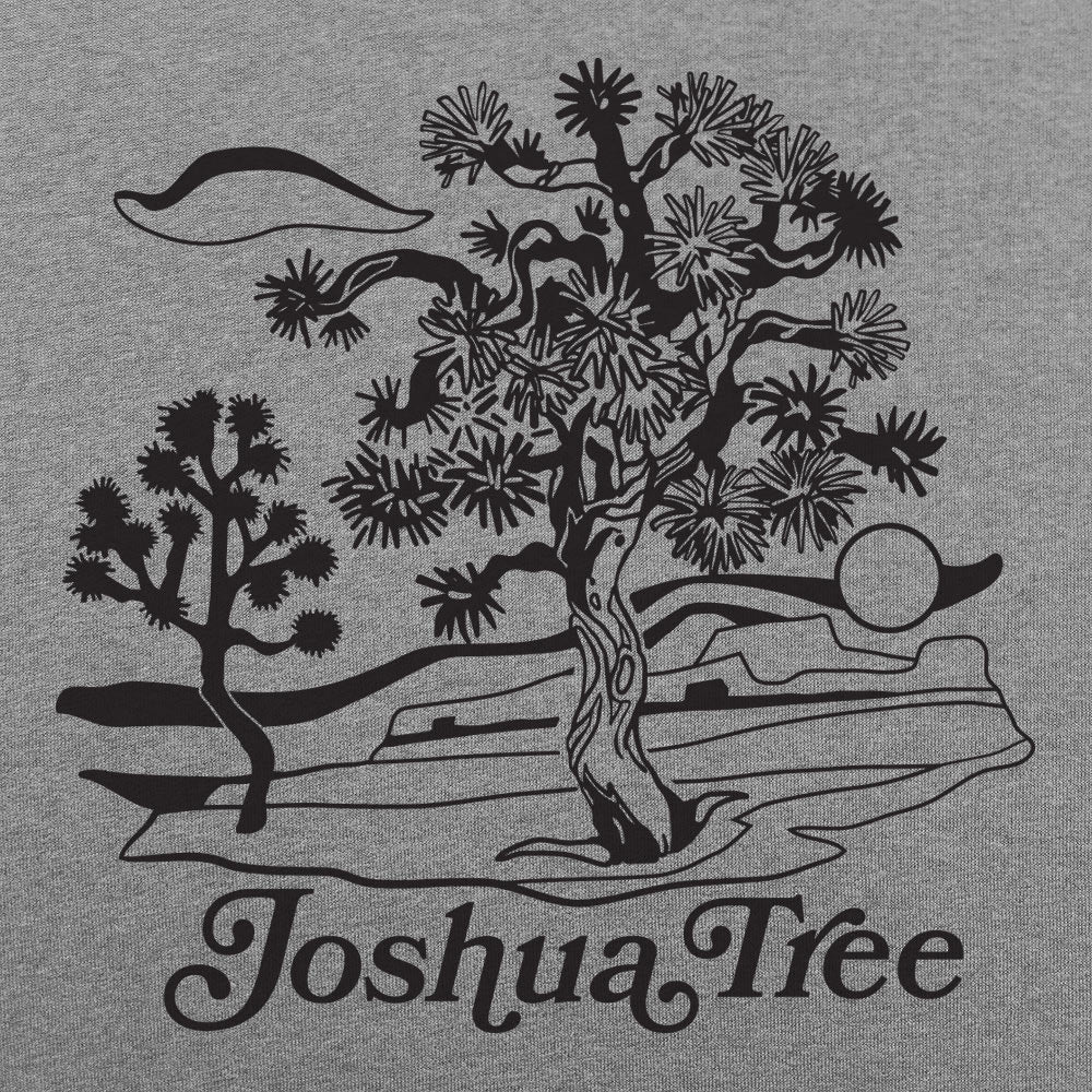 Joshua Tree Desert Landscape